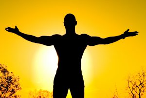 PN-vit-d-performance